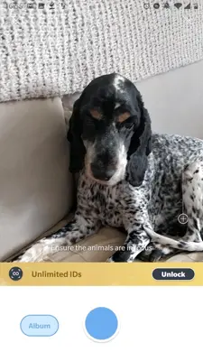 Picture Animal - Animal ID Pro android App screenshot 0