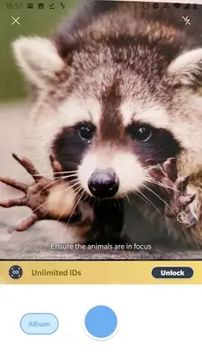 Picture Animal - Animal ID Pro android App screenshot 9