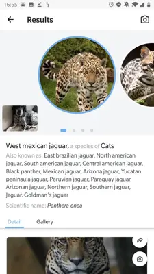 Picture Animal - Animal ID Pro android App screenshot 10