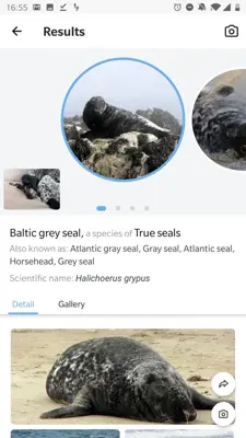 Picture Animal - Animal ID Pro android App screenshot 1