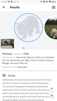 Picture Animal - Animal ID Pro android App screenshot 3