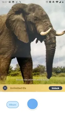 Picture Animal - Animal ID Pro android App screenshot 7